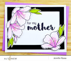 Clear Stamps Family Matters Stamp Set
