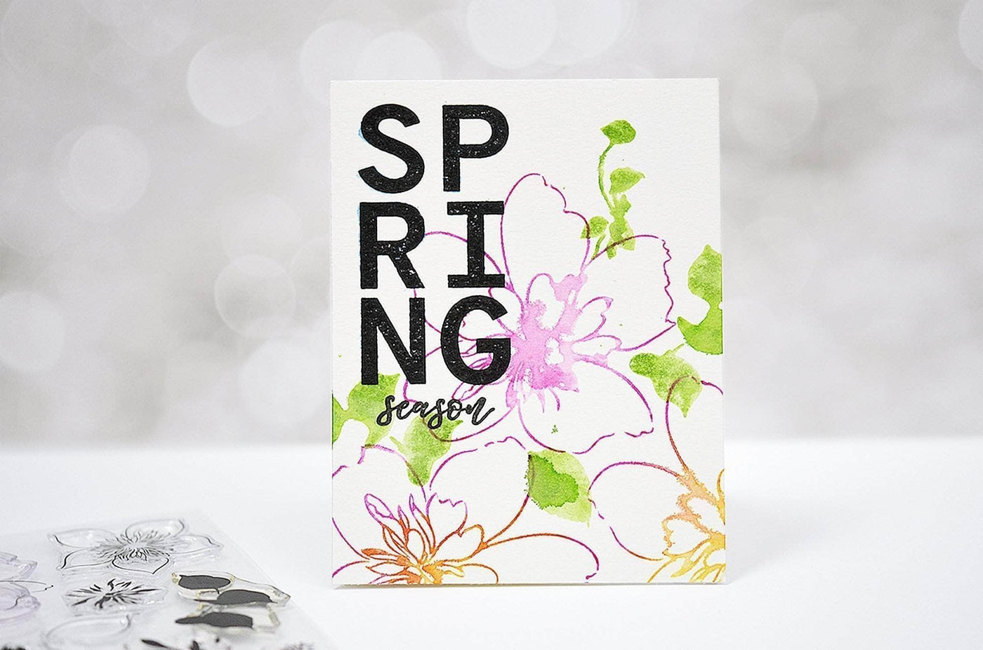 Clear Stamps For All Seasons Stamp Set