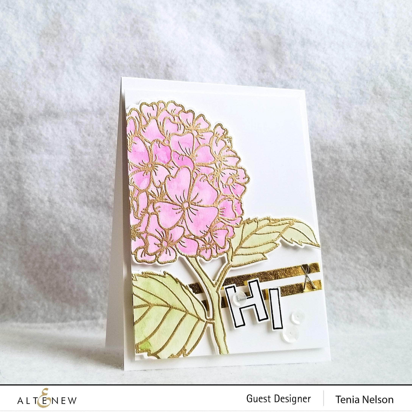 Clear Stamps Hello Hydrangea Stamp Set