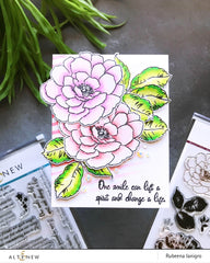 Clear Stamps Kind Words Stamp Set