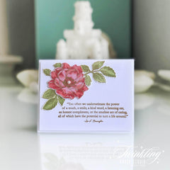 Clear Stamps Kind Words Stamp Set