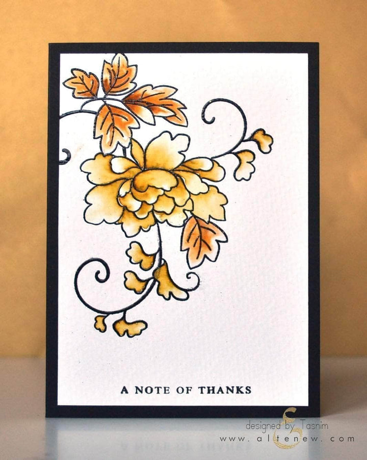 Clear Stamps Many Thanks Stamp Set