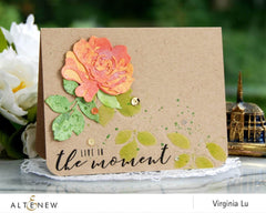 Clear Stamps More Than Words Stamp Set