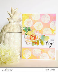 Clear Stamps More Than Words Stamp Set