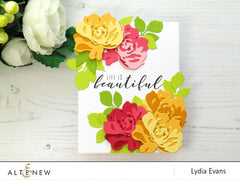 Clear Stamps More Than Words Stamp Set