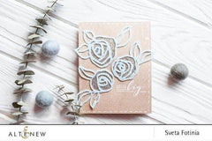 Clear Stamps More Than Words Stamp Set