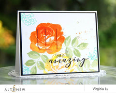 Clear Stamps More Than Words Stamp Set