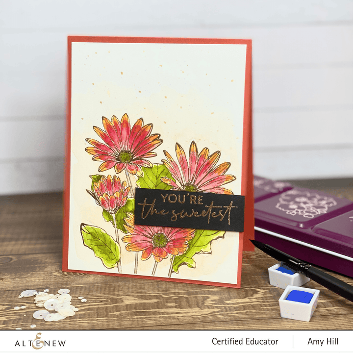 Clear Stamps Paint-A-Flower: African Daisy Outline Stamp Set