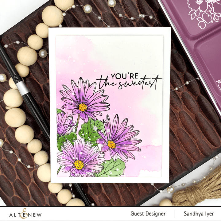 Clear Stamps Paint-A-Flower: African Daisy Outline Stamp Set