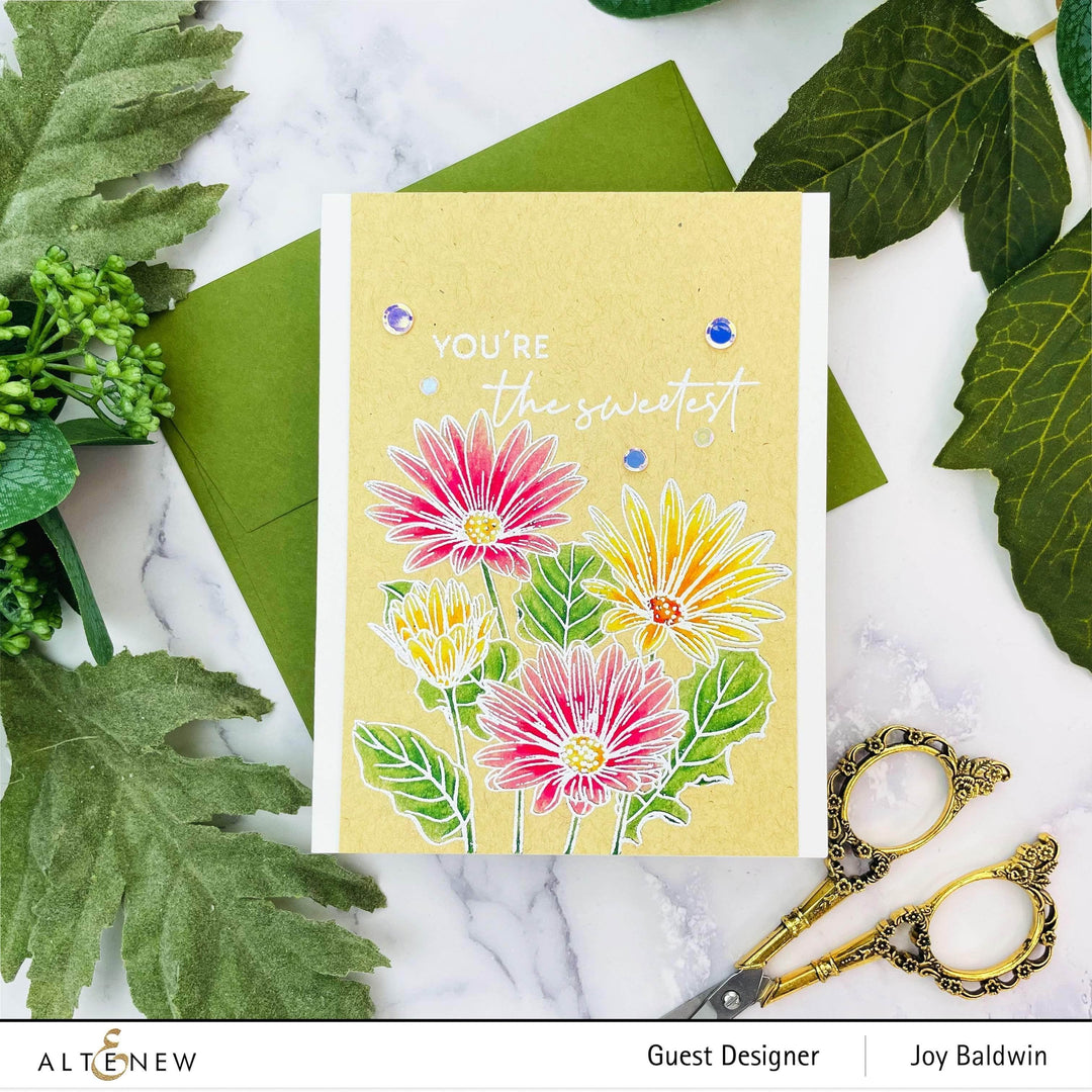 Clear Stamps Paint-A-Flower: African Daisy Outline Stamp Set