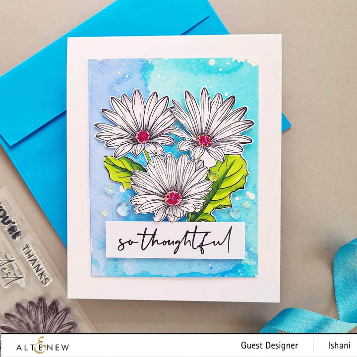 Clear Stamps Paint-A-Flower: African Daisy Outline Stamp Set