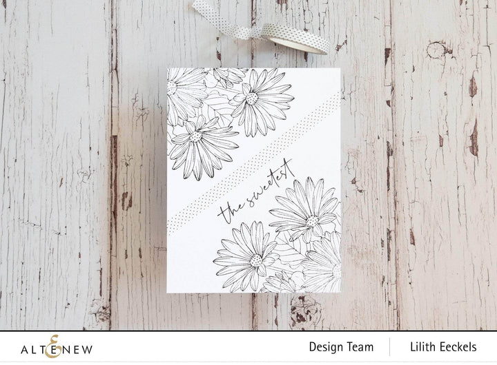Clear Stamps Paint-A-Flower: African Daisy Outline Stamp Set