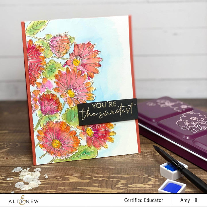 Clear Stamps Paint-A-Flower: African Daisy Outline Stamp Set