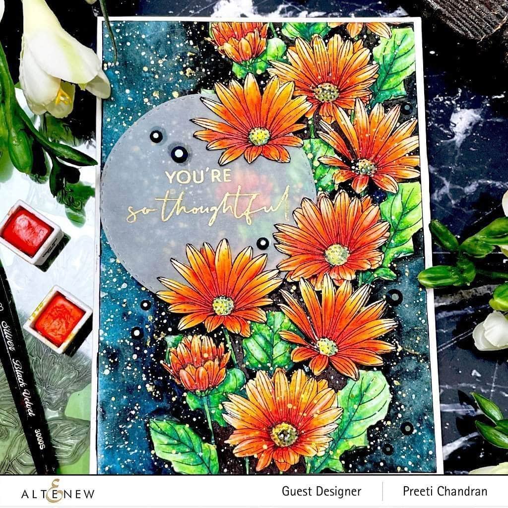 Clear Stamps Paint-A-Flower: African Daisy Outline Stamp Set