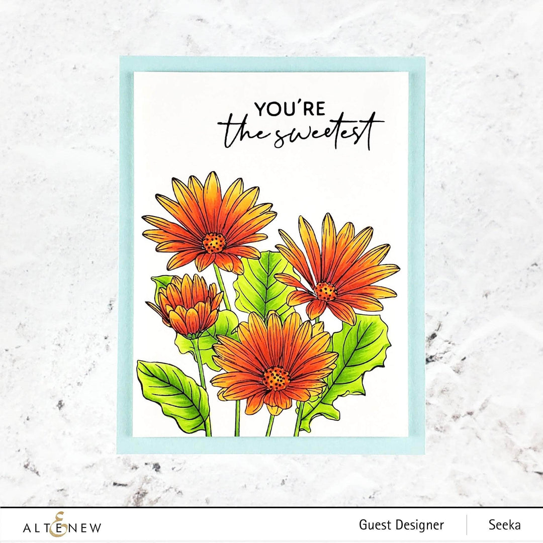 Clear Stamps Paint-A-Flower: African Daisy Outline Stamp Set