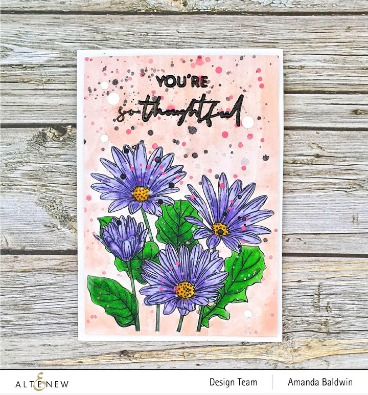Clear Stamps Paint-A-Flower: African Daisy Outline Stamp Set