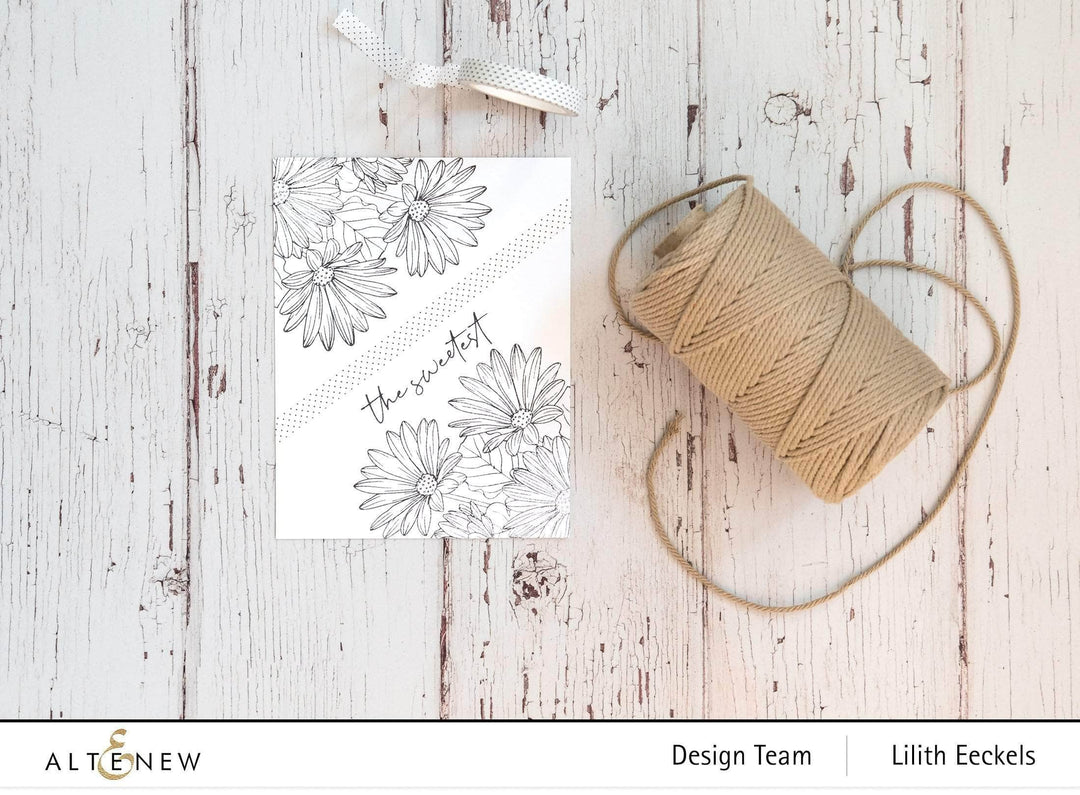 Clear Stamps Paint-A-Flower: African Daisy Outline Stamp Set