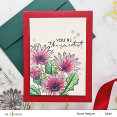 Clear Stamps Paint-A-Flower: African Daisy Outline Stamp Set