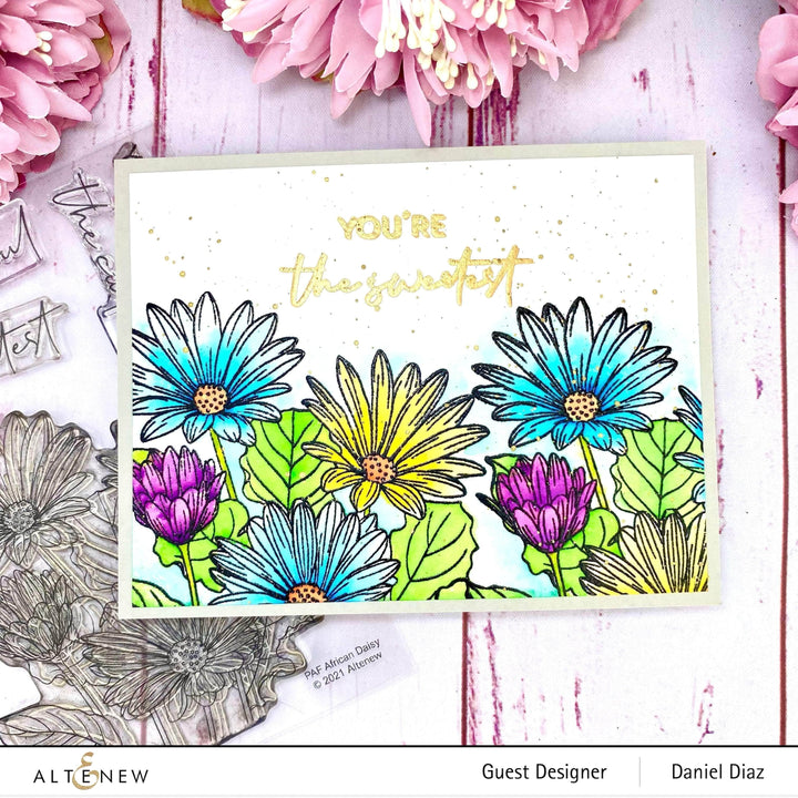 Clear Stamps Paint-A-Flower: African Daisy Outline Stamp Set