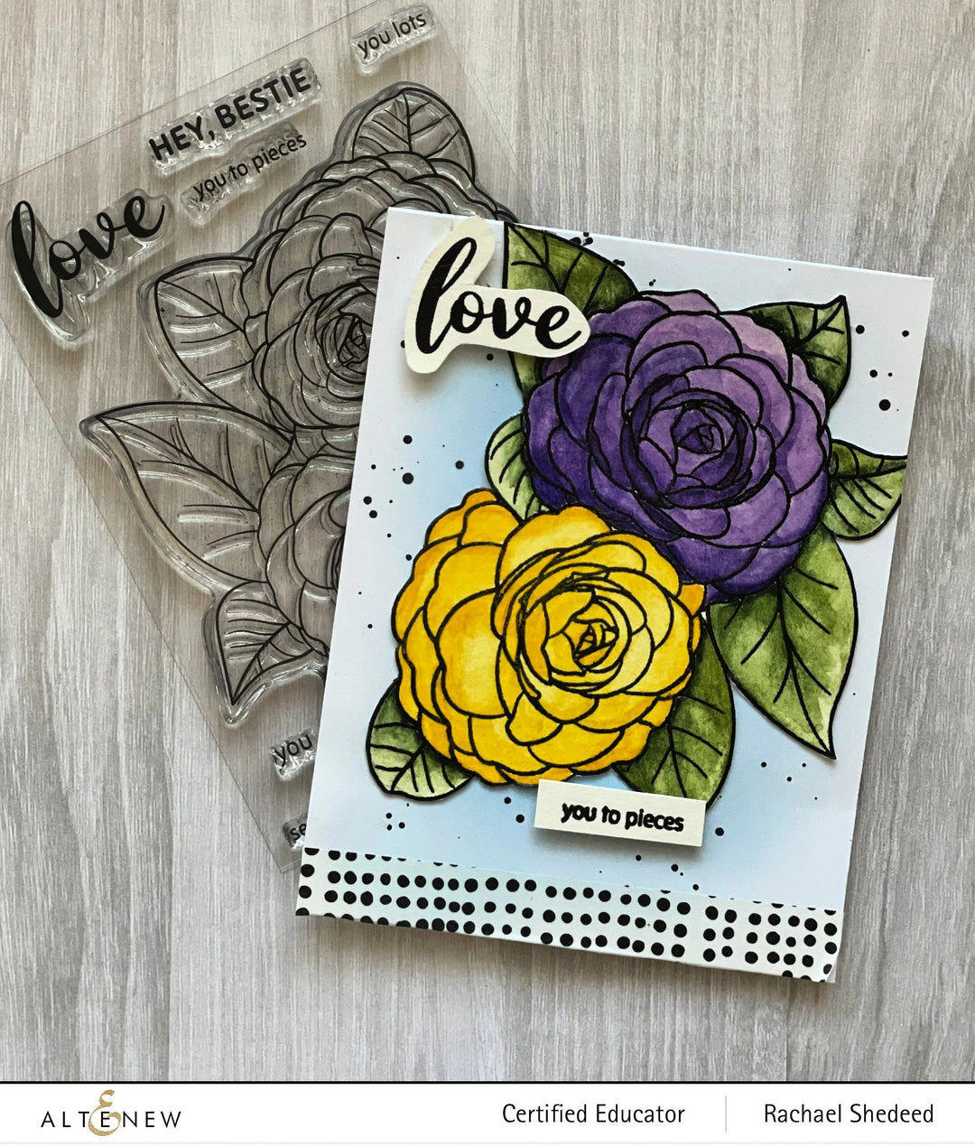 Clear Stamps Paint-A-Flower: Camellia Waterhouse Outline Stamp Set