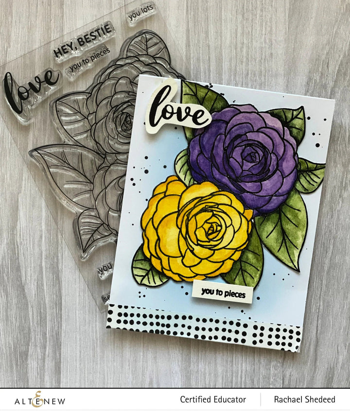 Clear Stamps Paint-A-Flower: Camellia Waterhouse Outline Stamp Set