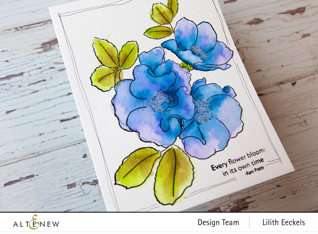 Clear Stamps Paint-A-Flower: Carefree Delight Outline Stamp Set
