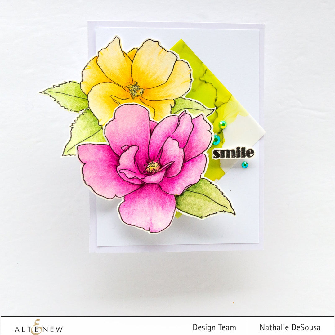 Clear Stamps Paint-A-Flower: China Rose Outline Stamp Set