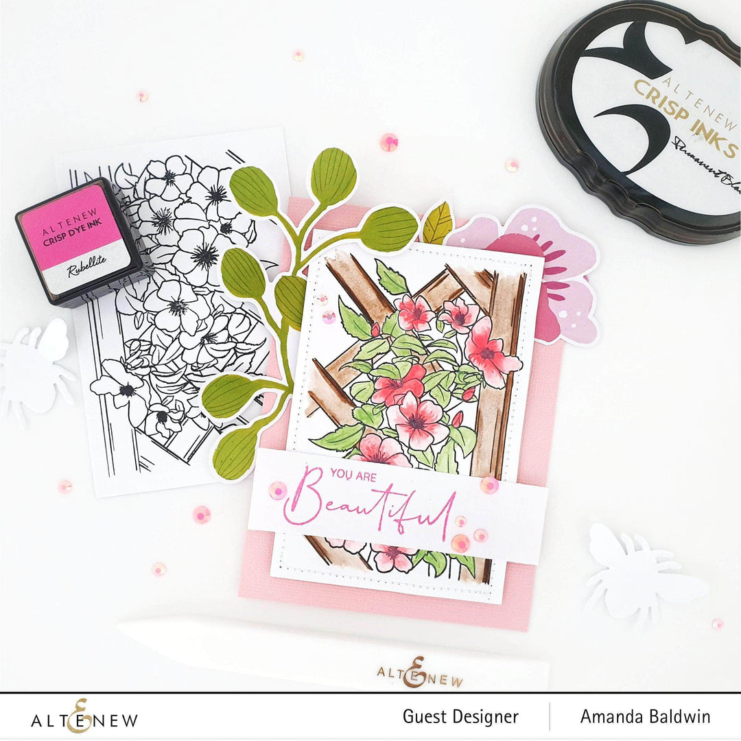 Clear Stamps Paint-A-Flower: Clematis Outline Stamp Set