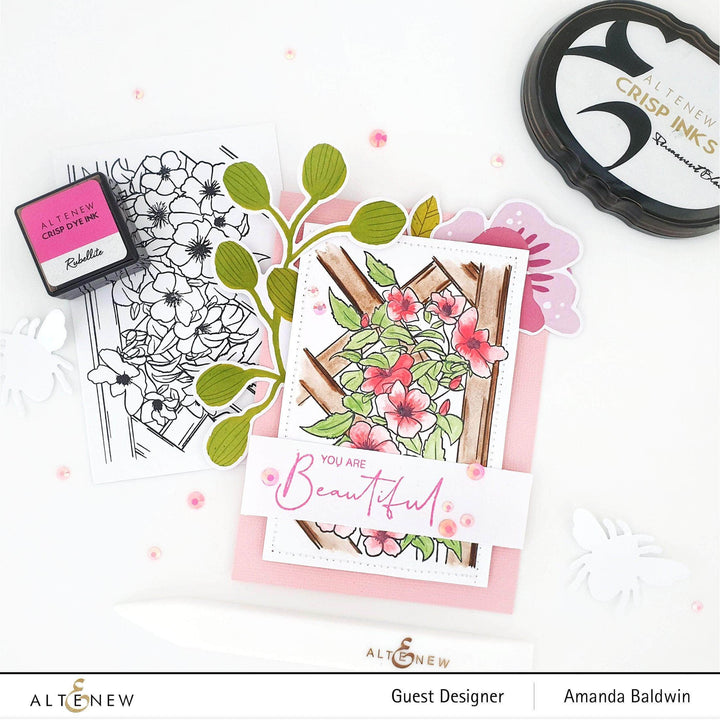 Clear Stamps Paint-A-Flower: Clematis Outline Stamp Set