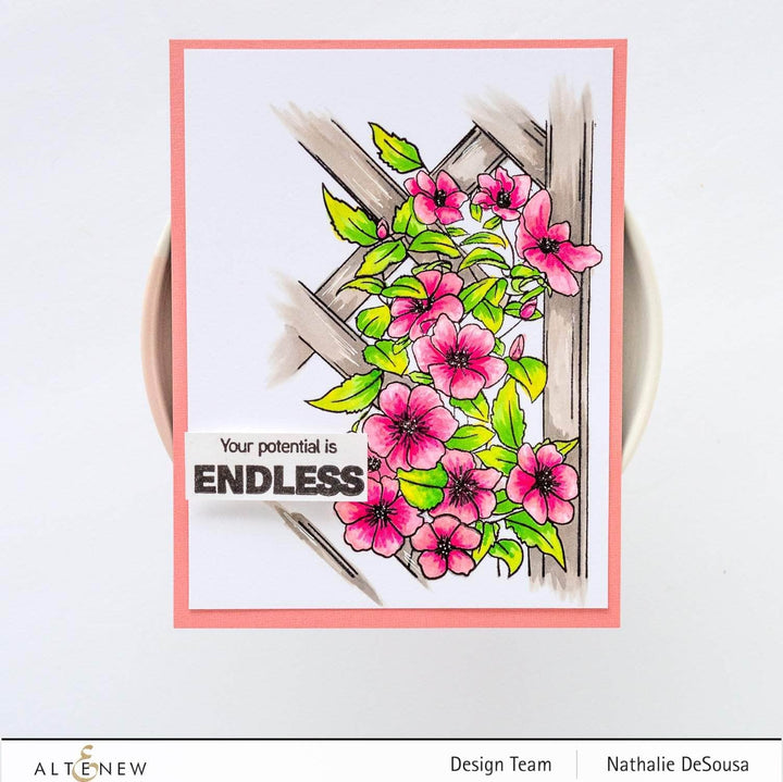 Clear Stamps Paint-A-Flower: Clematis Outline Stamp Set