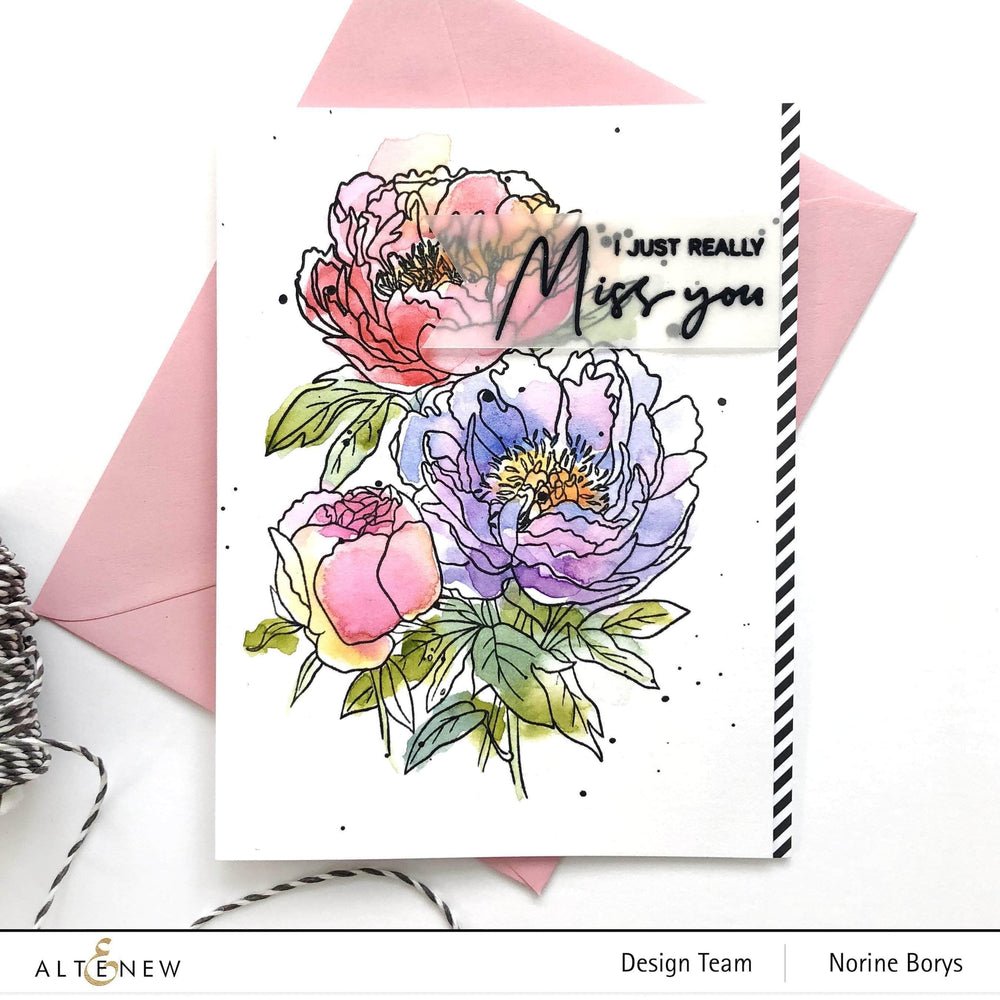 Clear Stamps Paint-A-Flower: Coral Sunset Outline Stamp Set