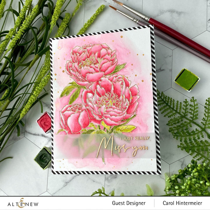 Clear Stamps Paint-A-Flower: Coral Sunset Outline Stamp Set