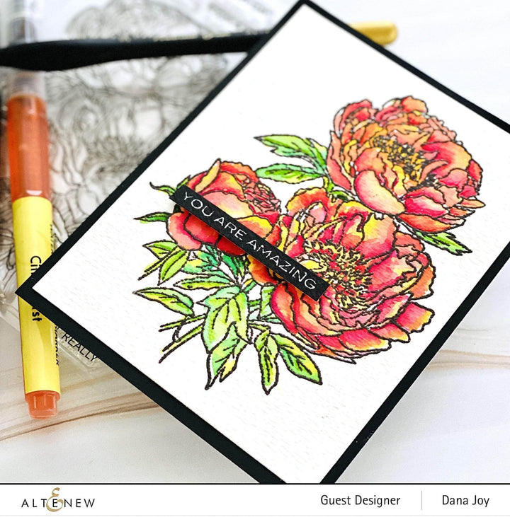 Clear Stamps Paint-A-Flower: Coral Sunset Outline Stamp Set