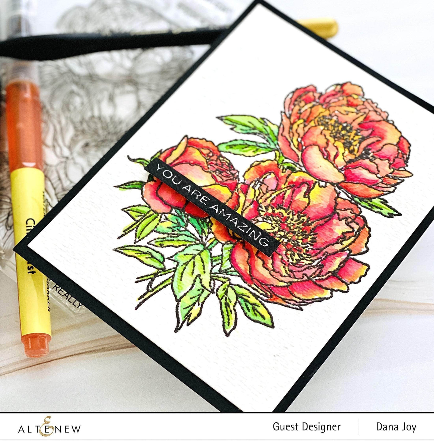 Clear Stamps Paint-A-Flower: Coral Sunset Outline Stamp Set
