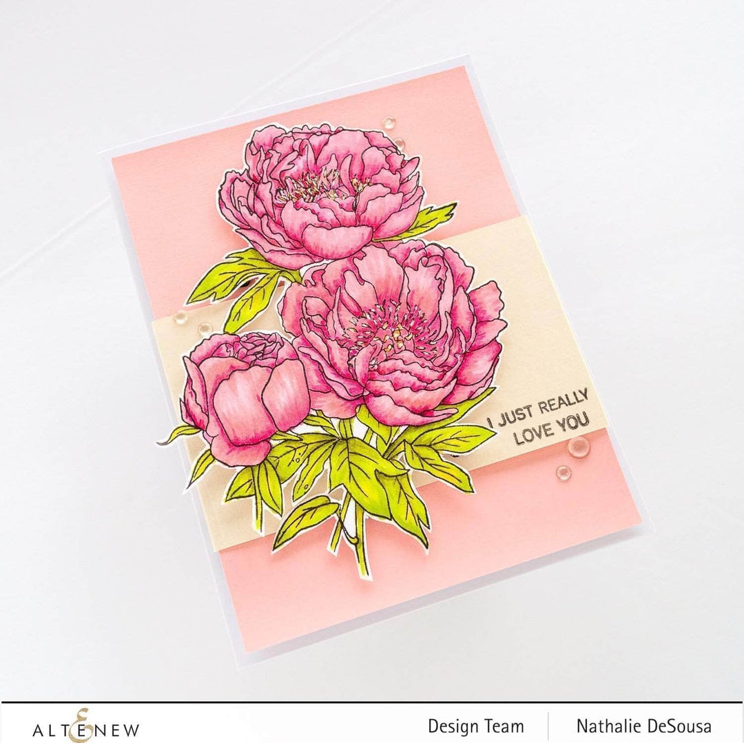 Clear Stamps Paint-A-Flower: Coral Sunset Outline Stamp Set