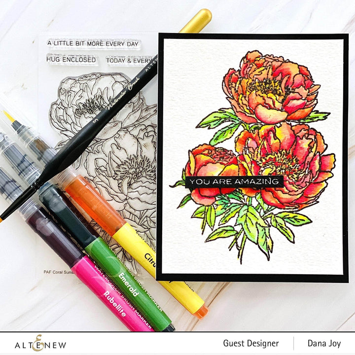 Clear Stamps Paint-A-Flower: Coral Sunset Outline Stamp Set