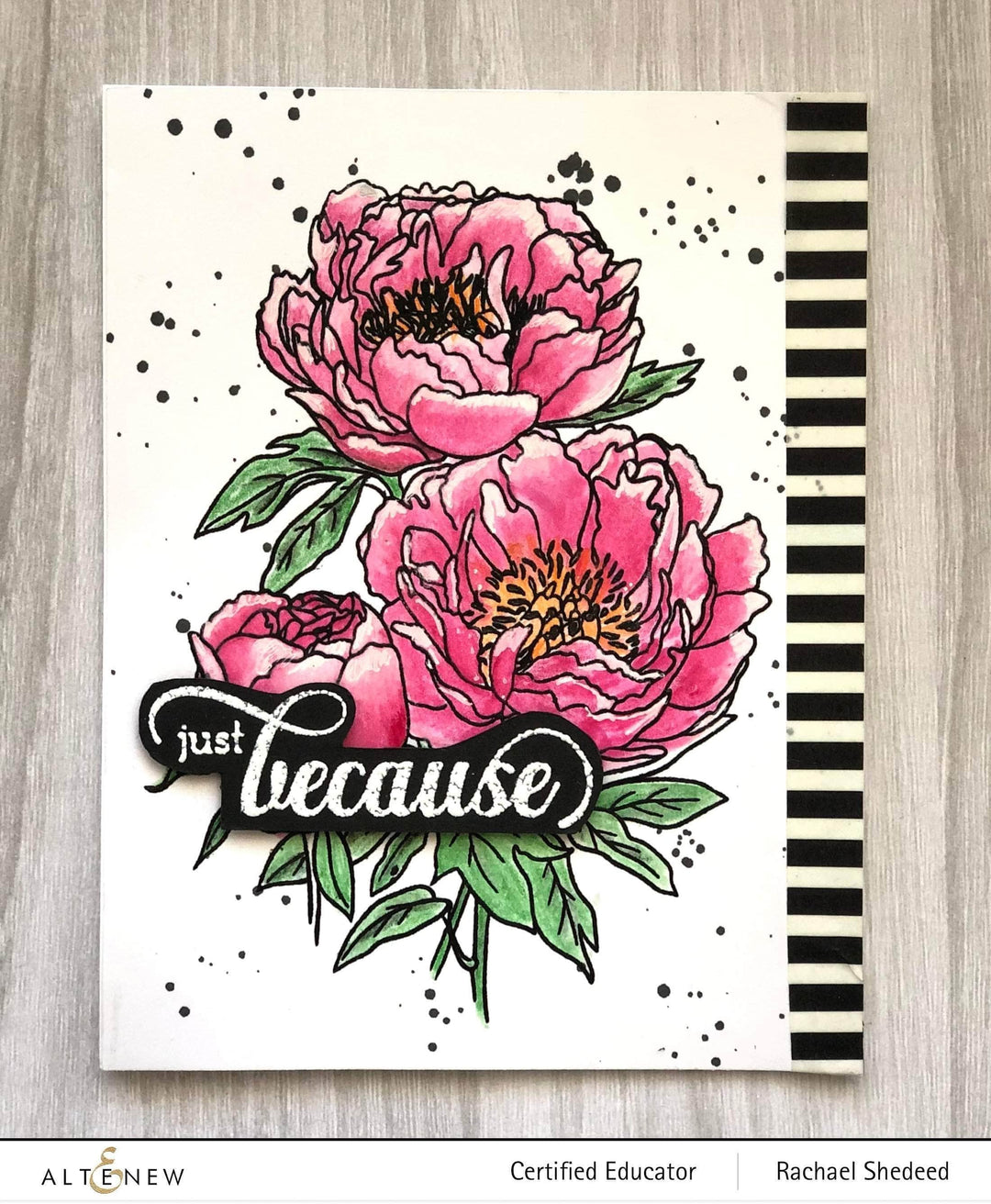 Clear Stamps Paint-A-Flower: Coral Sunset Outline Stamp Set