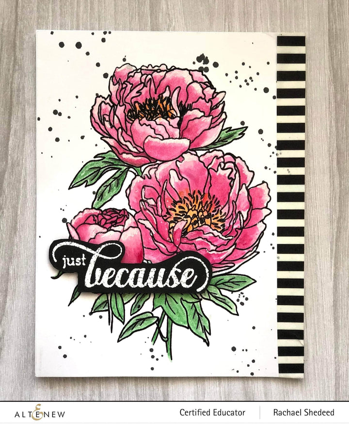 Clear Stamps Paint-A-Flower: Coral Sunset Outline Stamp Set