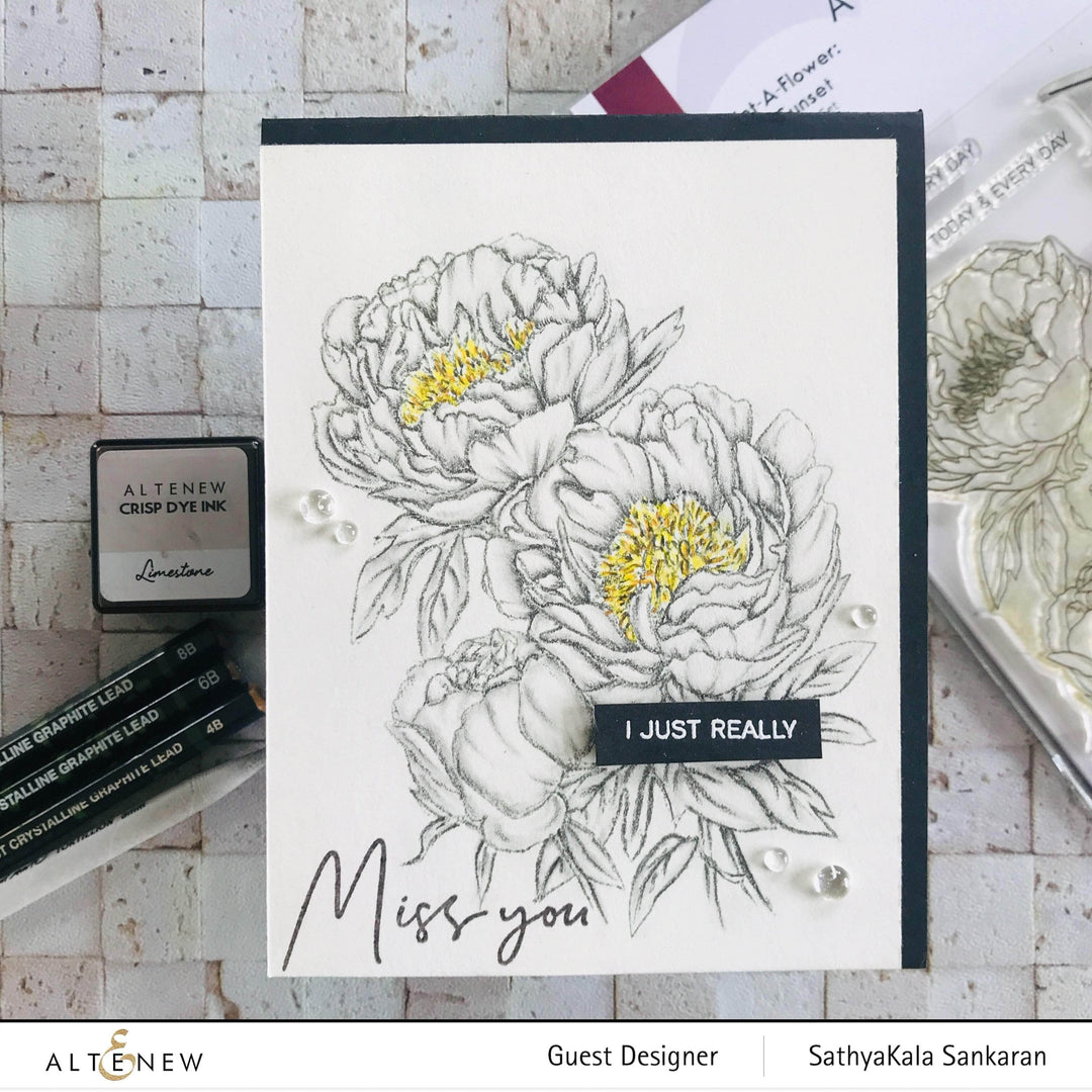 Clear Stamps Paint-A-Flower: Coral Sunset Outline Stamp Set