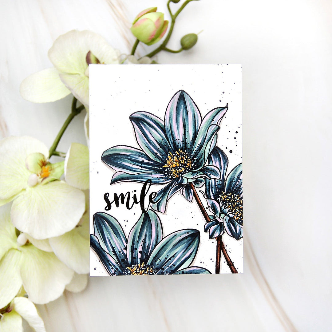 Clear Stamps Paint-A-Flower: Dahlia Bright Eyes Outline Stamp Set