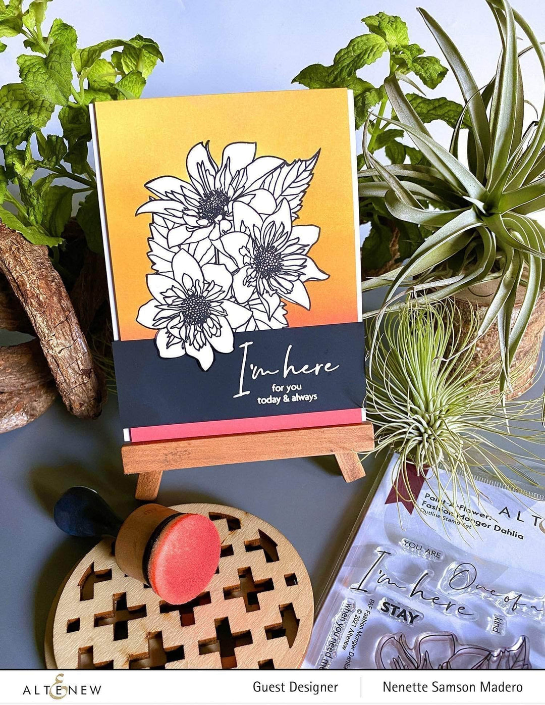 Clear Stamps Paint-A-Flower: Fashion Monger Dahlia Outline Stamp Set