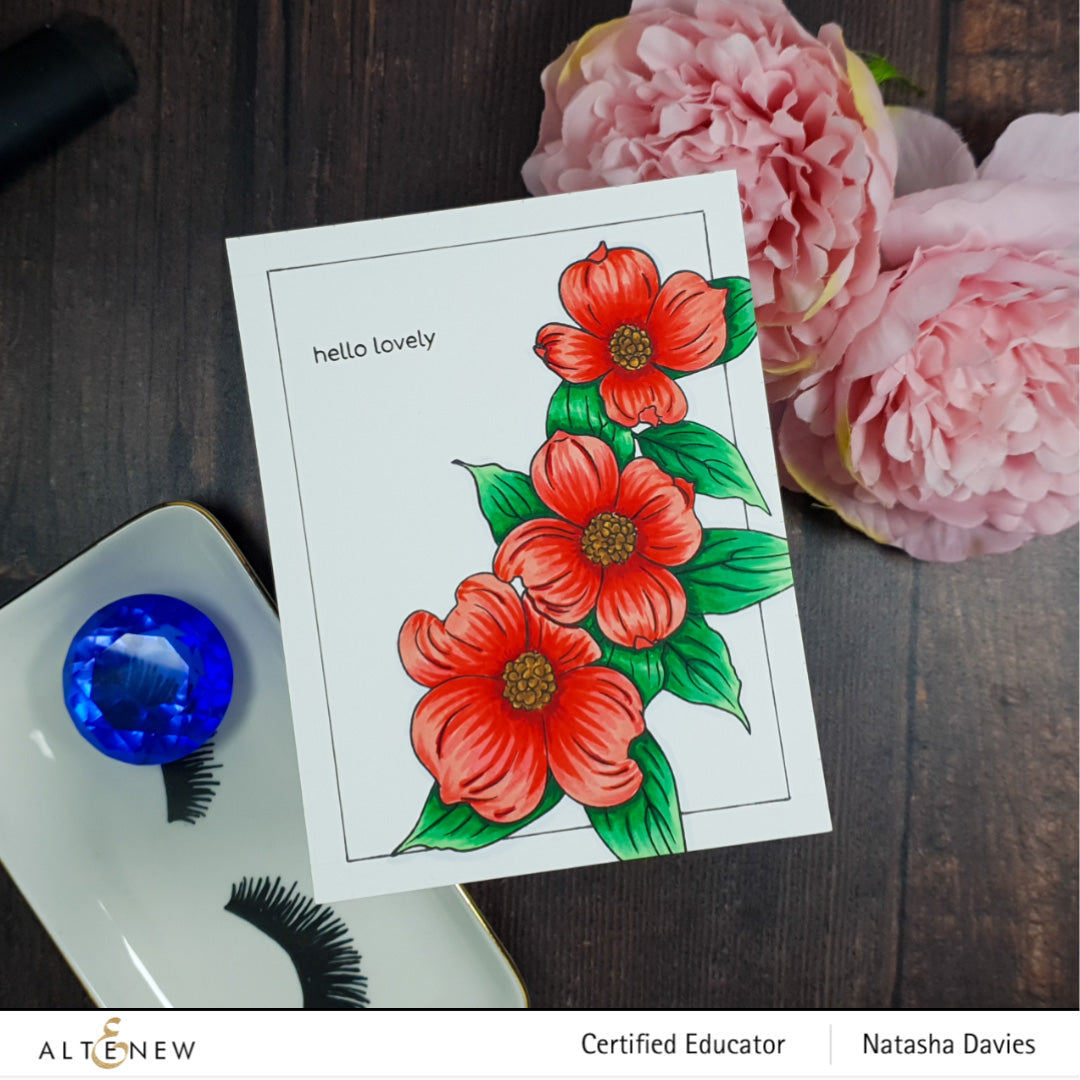 Clear Stamps Paint-A-Flower: Flowering Dogwood Outline Stamp Set