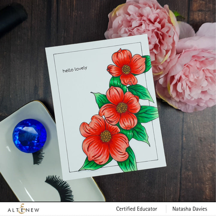 Clear Stamps Paint-A-Flower: Flowering Dogwood Outline Stamp Set