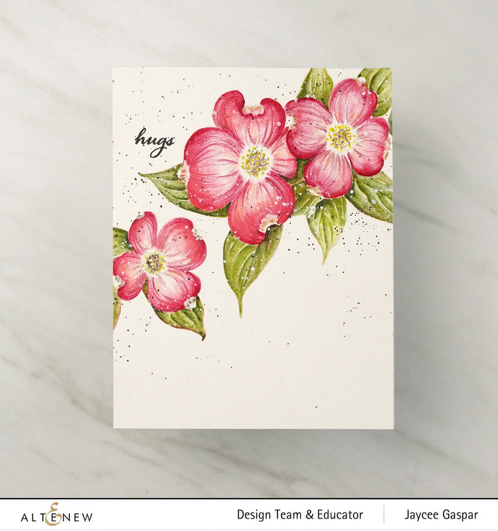 Clear Stamps Paint-A-Flower: Flowering Dogwood Outline Stamp Set