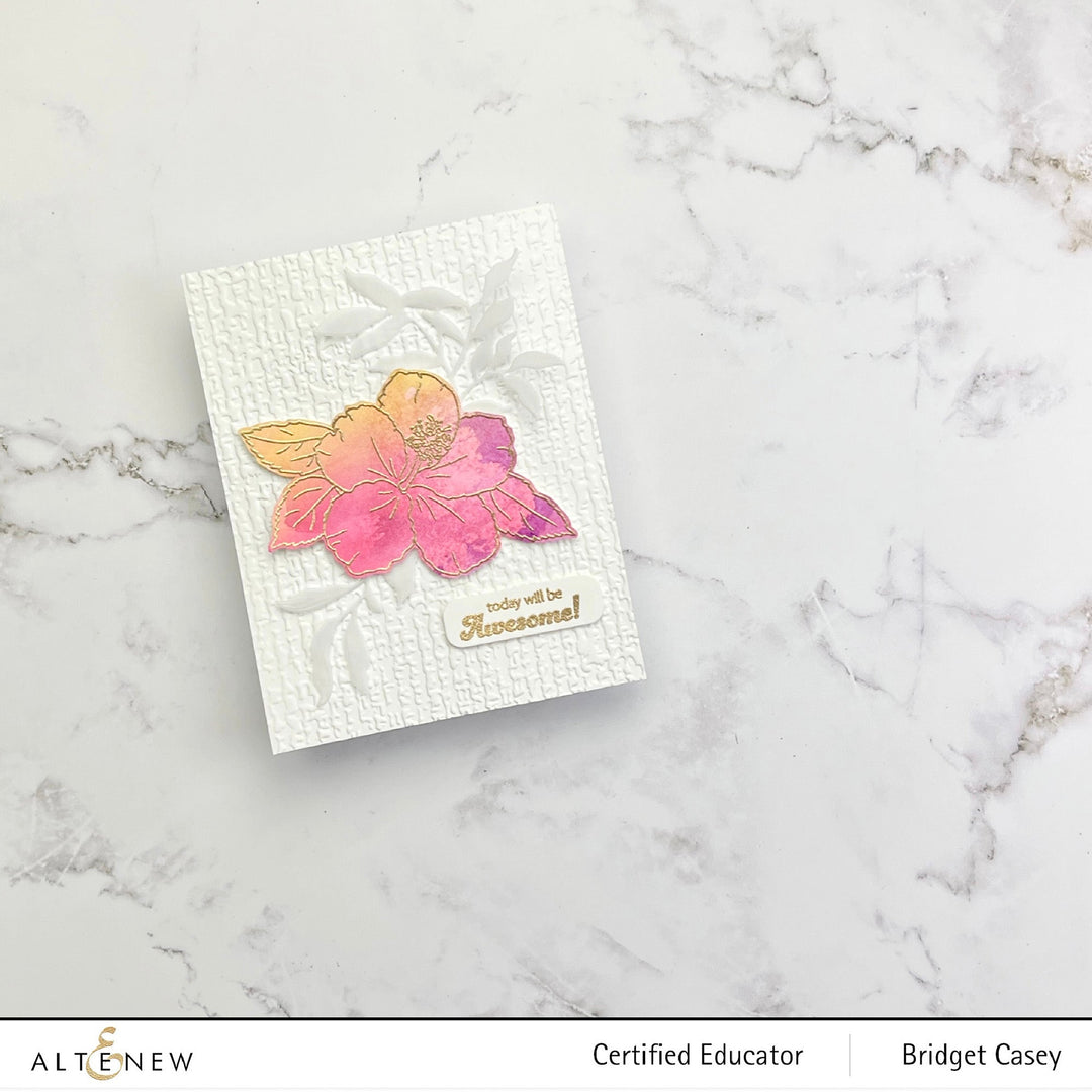 Clear Stamps Paint-A-Flower: Hibiscus Outline Stamp Set