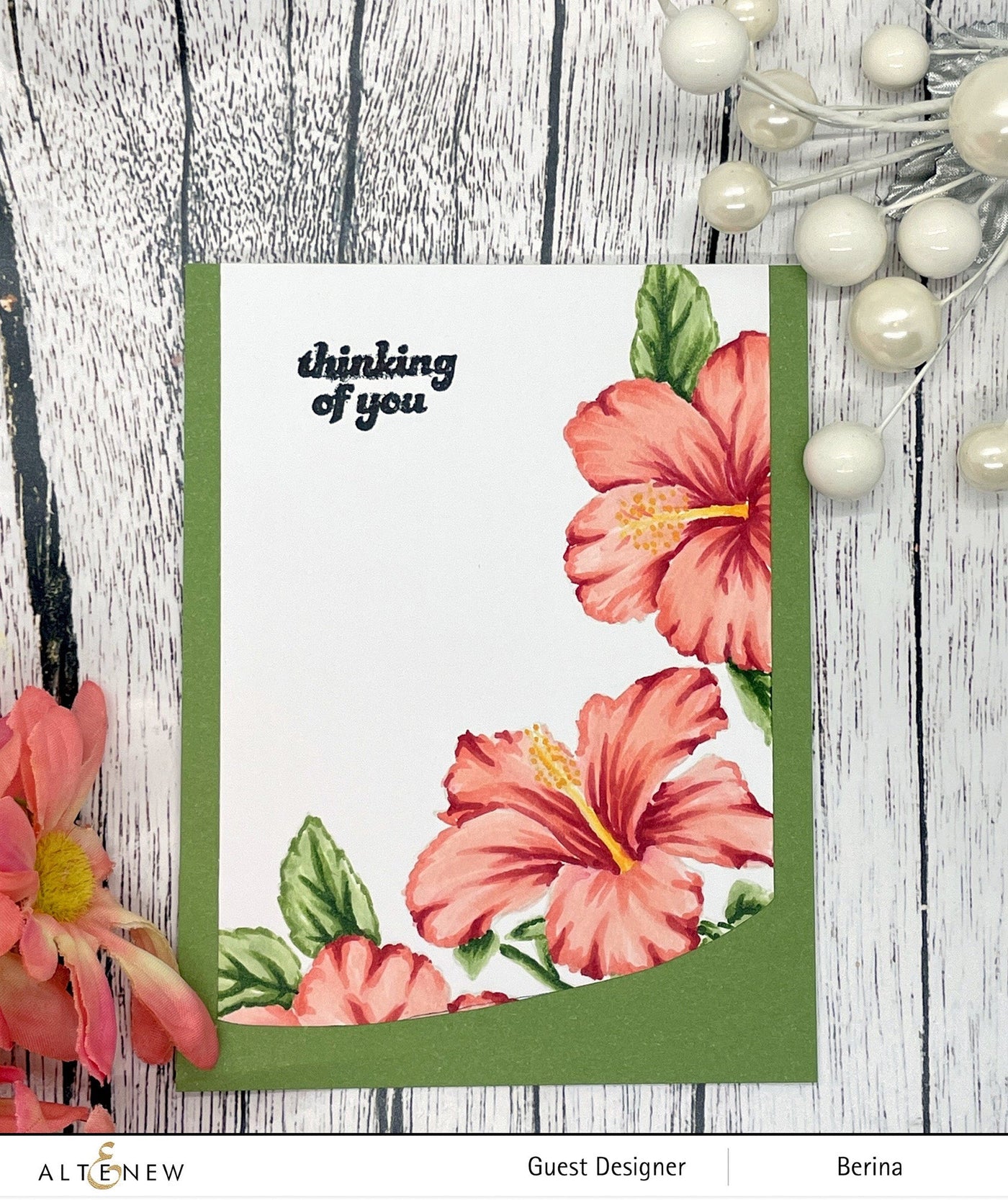 Clear Stamps Paint-A-Flower: Hibiscus Outline Stamp Set