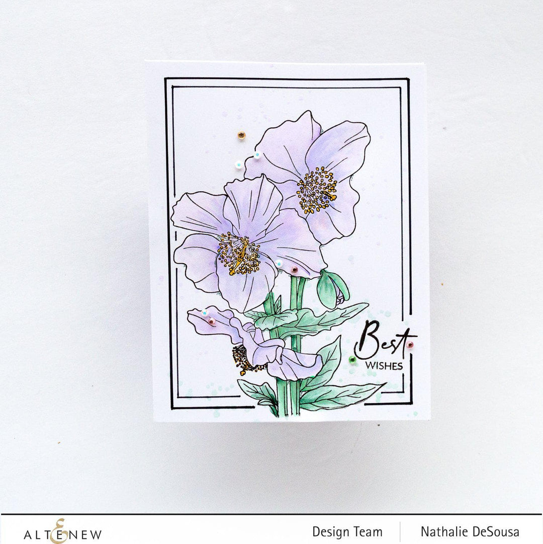 Clear Stamps Paint-A-Flower: Himalayan Poppy Outline Stamp Set