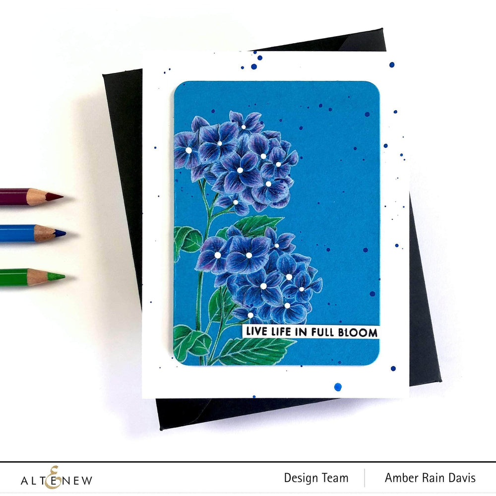 Clear Stamps Paint-A-Flower: Hydrangea Outline Stamp Set