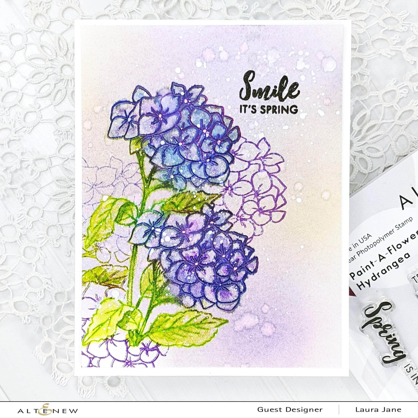 Clear Stamps Paint-A-Flower: Hydrangea Outline Stamp Set