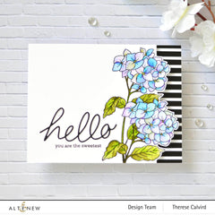 Clear Stamps Paint-A-Flower: Hydrangea Outline Stamp Set